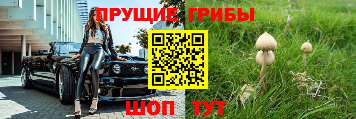 Псилоцибиновые грибы прущие грибы Партизанск